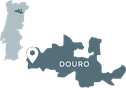 Quinta_da_Roga-Grande_Douro