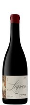 liquen_alfrocheiro