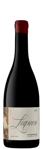 liquen_alfrocheiro