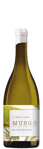 musgo_field_blend_branco